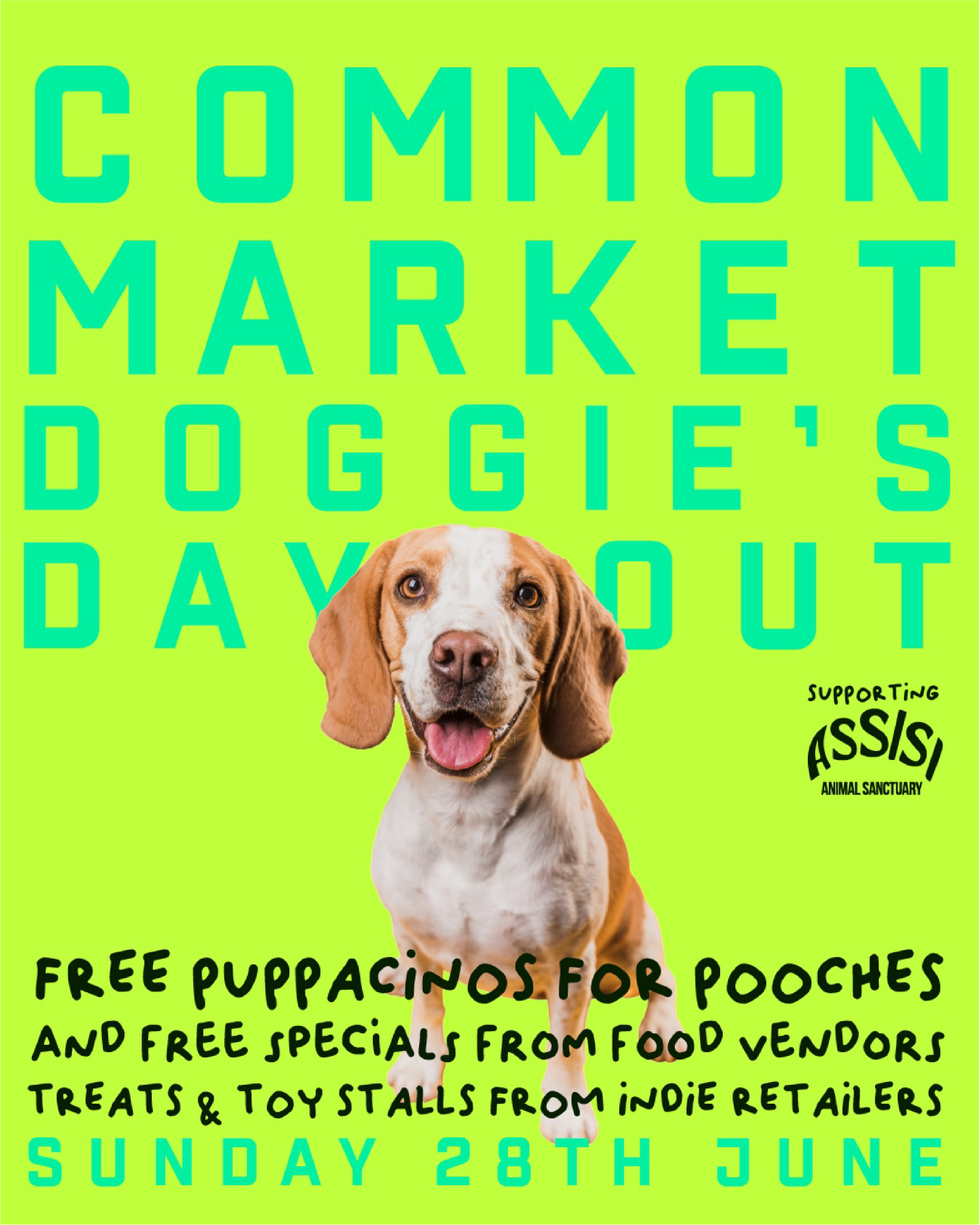 Common Market - Doggies Day Out
